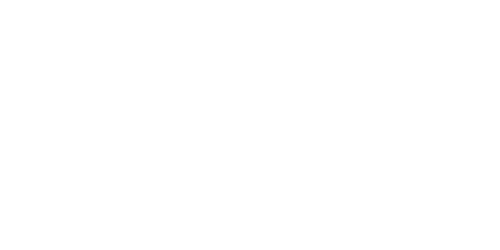 Bosveld Glas - Commercial Window Tinting logo