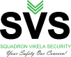 SQUADRON VIKELA SECURITY - Commercial Window Tinting logo