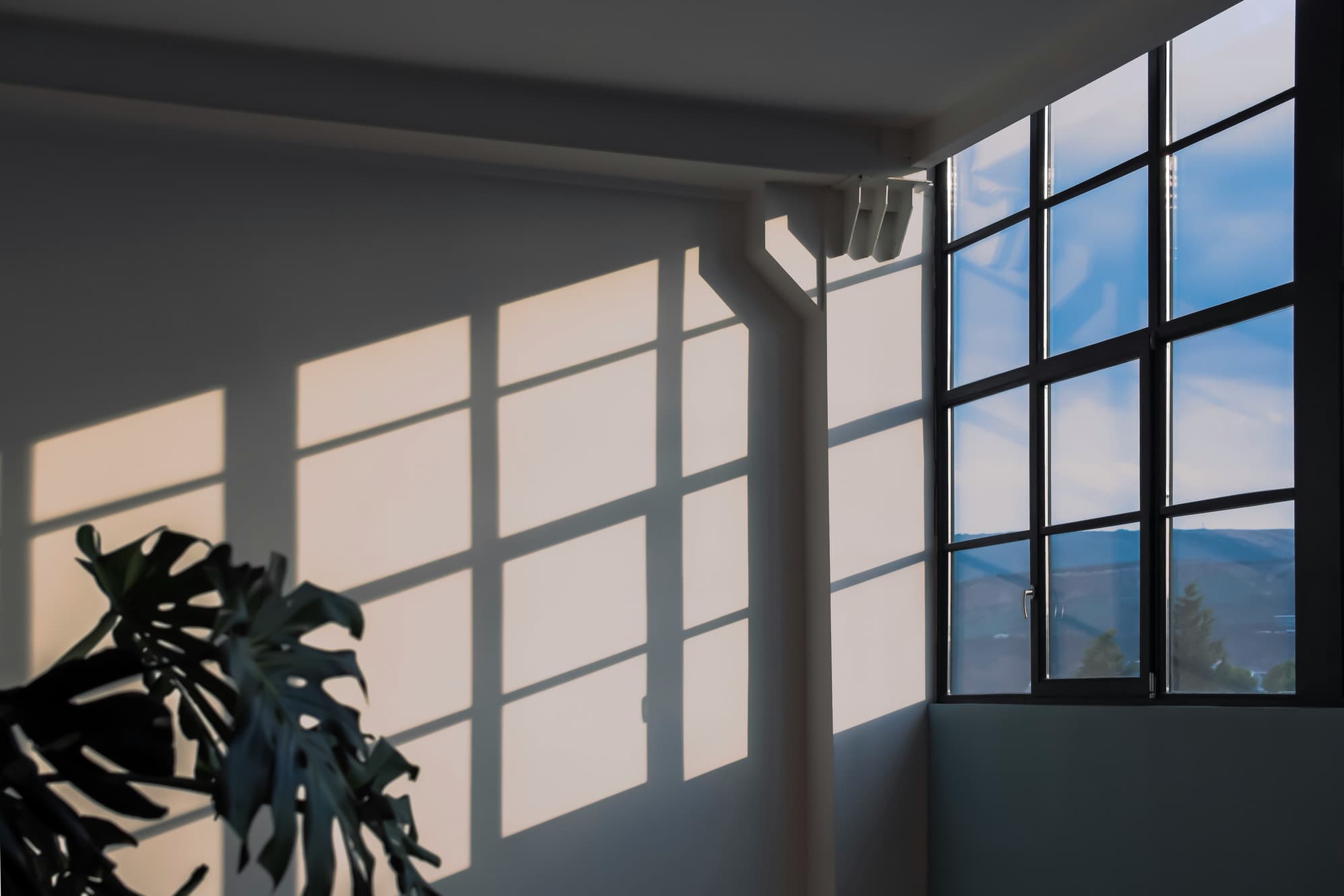 100th Meridian Window Film - Commercial Window Tinting logo