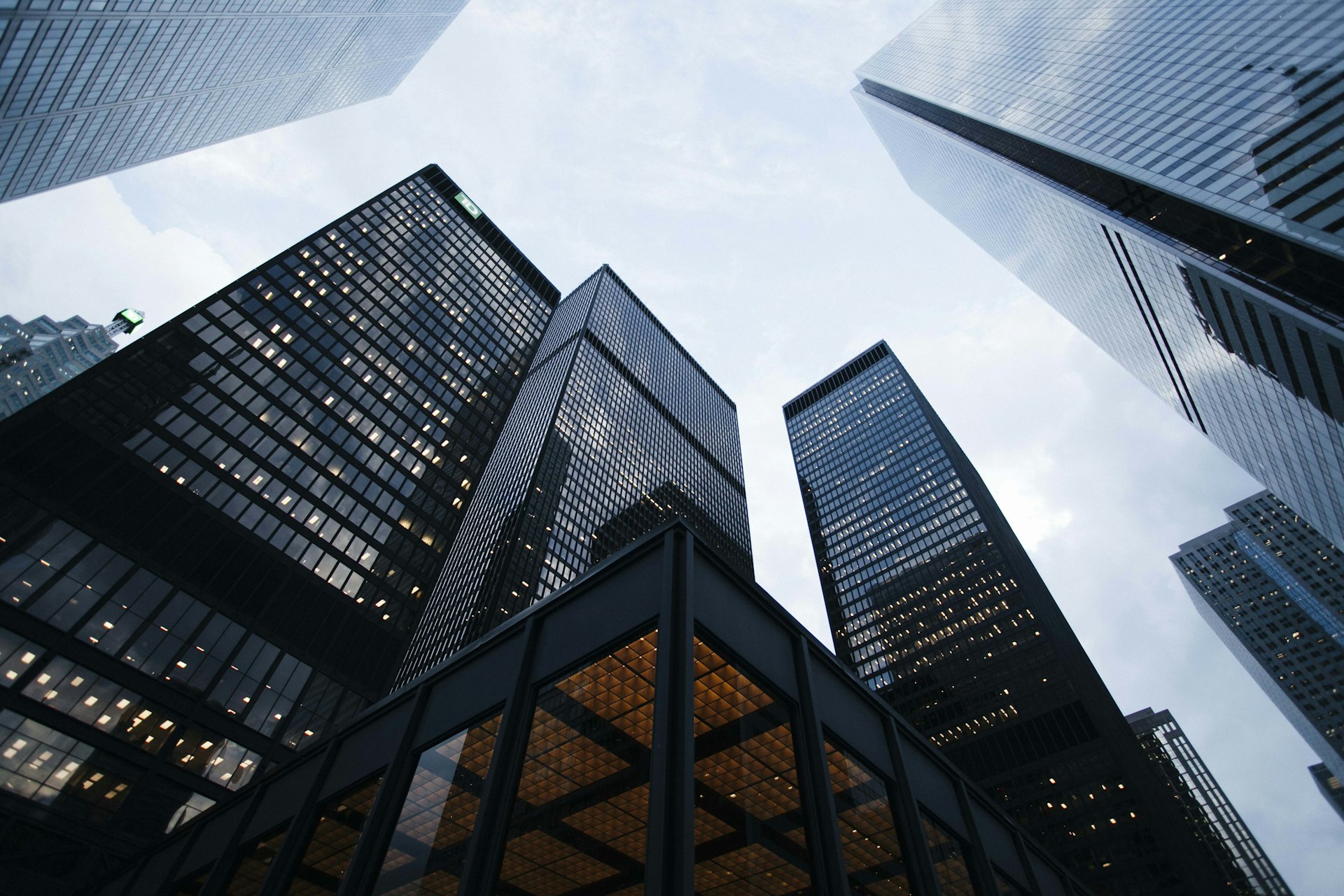 Step-by-Step Professional Commercial Window Tint Installation